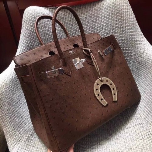 Torebka birkin Hermes z prawdziwej skóry strusia BK35 Chocolates
