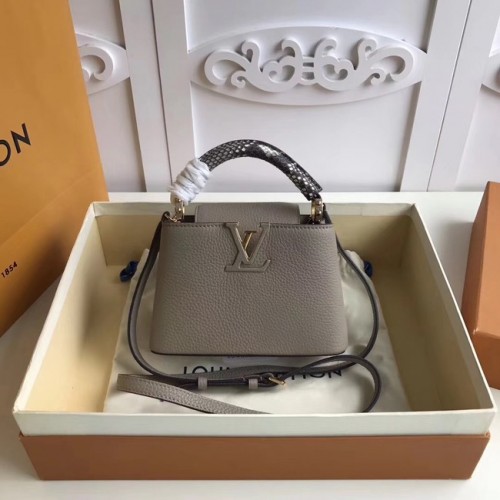 Louis vuitton original CAPUCINES MINI N94047 szary